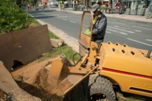 Wurzelstockfräsarbeiten bei PowerTeam Wurzelstockfräsarbeiten - PowerTeam