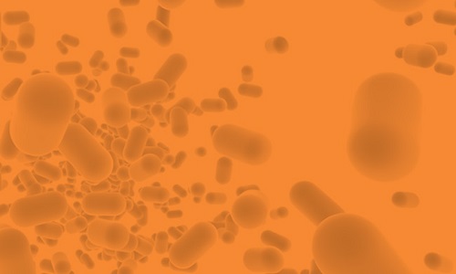 pharma bei Lactosan pharma - Lactosan