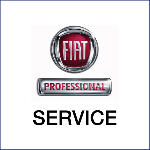 Fiat Professional Service bei Rauch & Wagner Professional Service - Rauch & Wagner