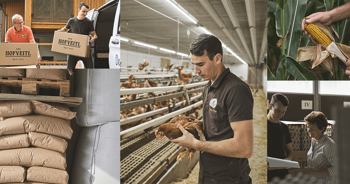 Jobs bei Hofveitl KG
