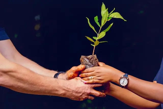 Karriere bei KUEHNE+NAGEL Jobs bei KUEHNE+NAGEL