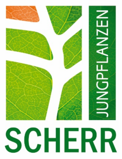 Scherr Jungpflanzen GmbH & Co KG